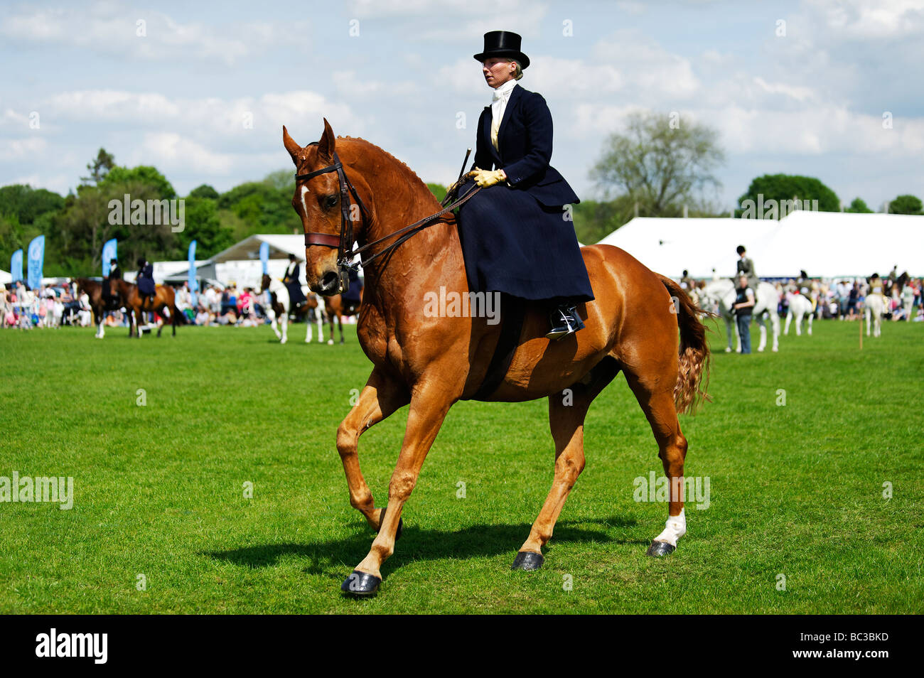 Le côté élégant rider à un événement équestre au cours de la Northumberland County Show à Helsinki le 25 mai 2009 Banque D'Images