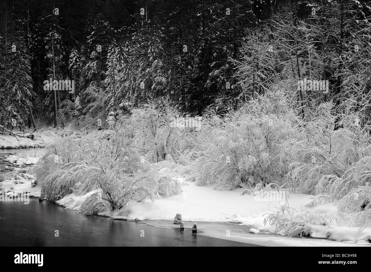 Yosemite en hiver, recouvert de neige. Banque D'Images