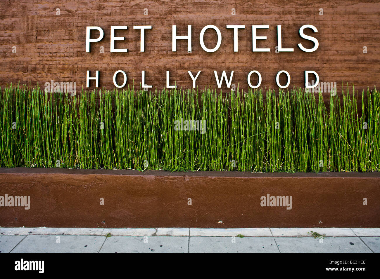 Hôtel Pet signe sur Highland Ave Hollywood Los Angeles California United States of America Banque D'Images