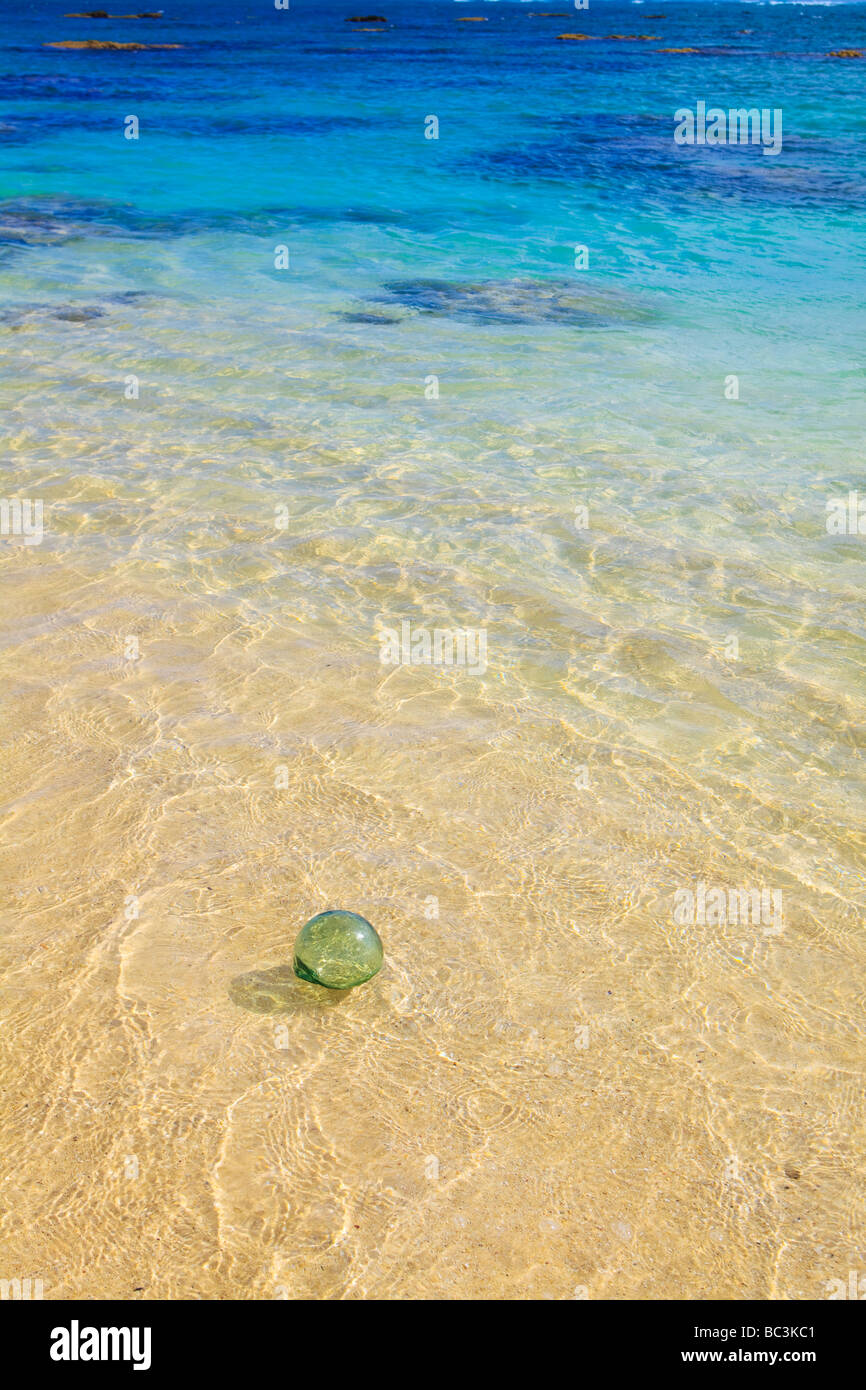 Flotteur en verre ballon à terre dérive sur une île du Pacifique Banque D'Images