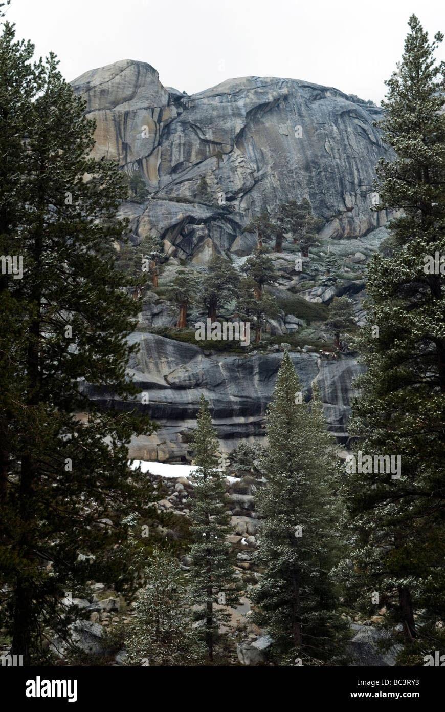 Rock face transparente entourée d'arbres, un jour d'hiver, avec des restes de neige. Rocher surplombe le Lac Tenaya sur Tioga Pass. Banque D'Images