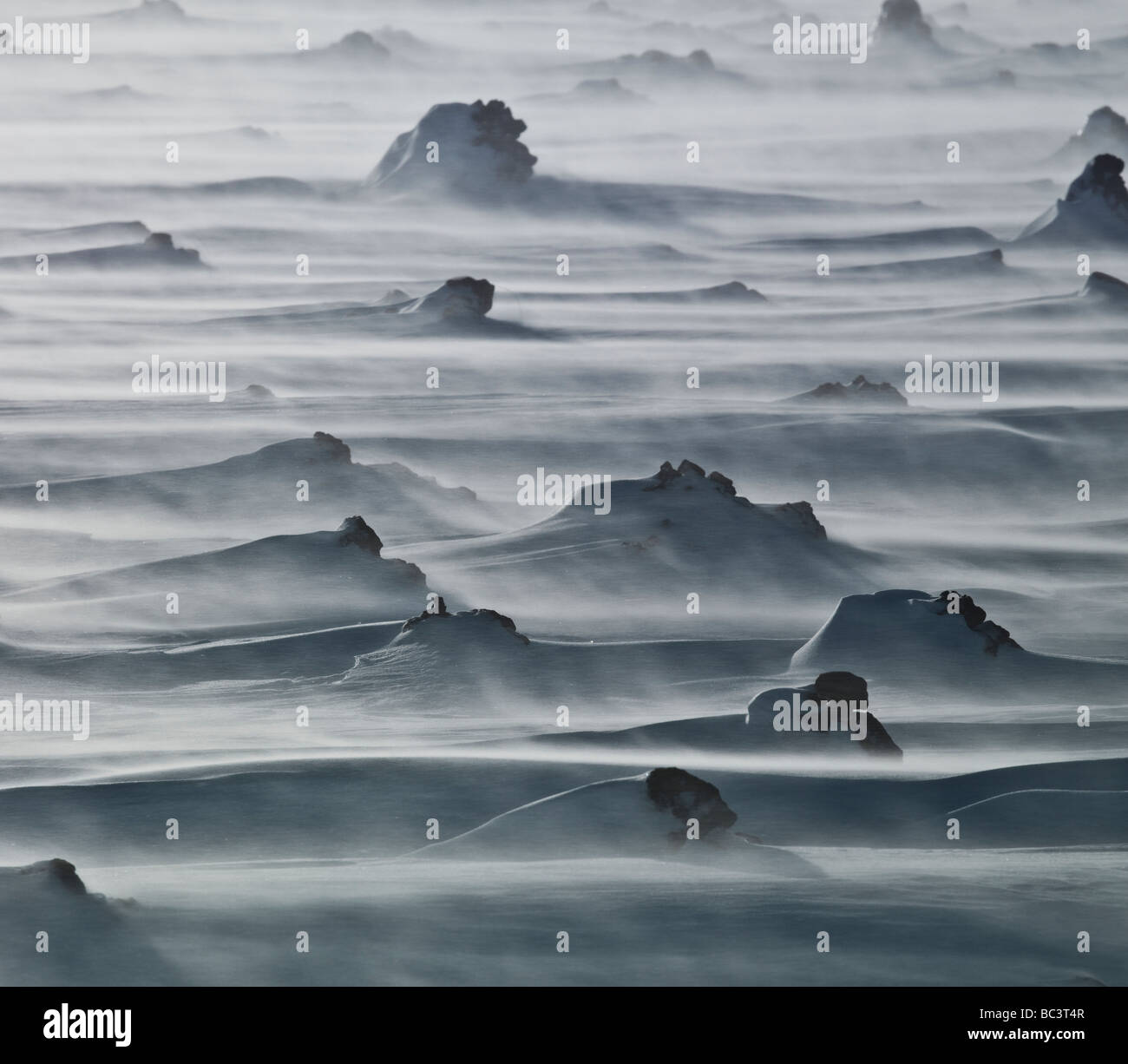 Tempête de neige avec du vent qui souffle sur la lave, Myrdalssandur, Islande Banque D'Images