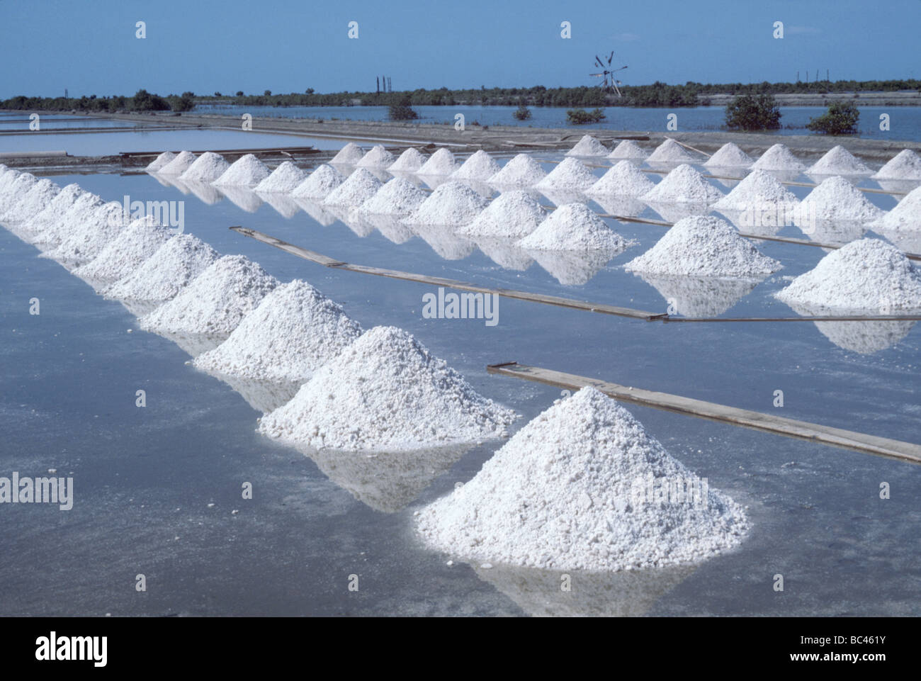 Des tas de sel recueilli dans une lagune salée Samut Songkhram Thaïlande Banque D'Images