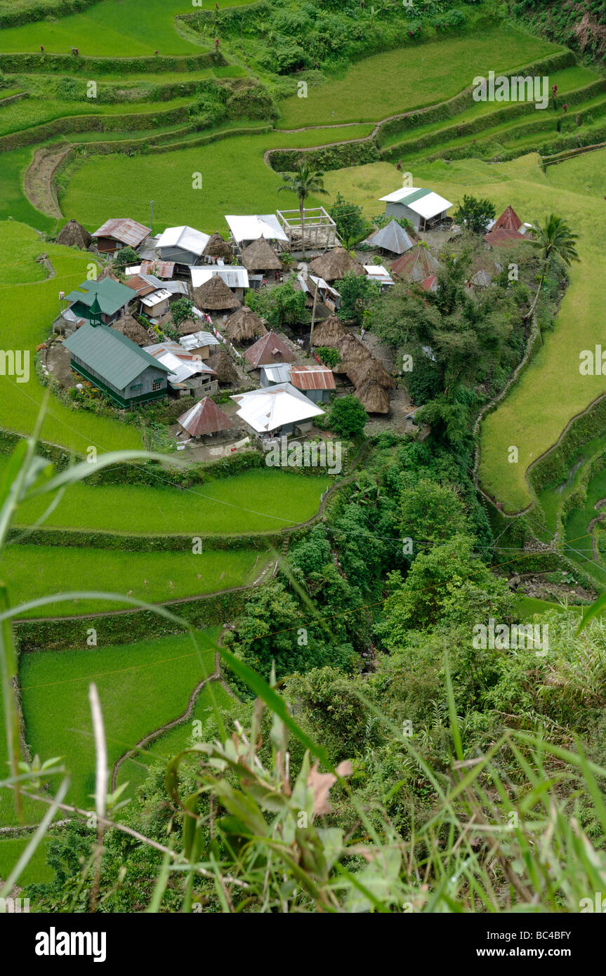 Village de Batad et rizières en terrasses, près de Banaue, Ifugao, nord-Luzon, Philippines Banque D'Images