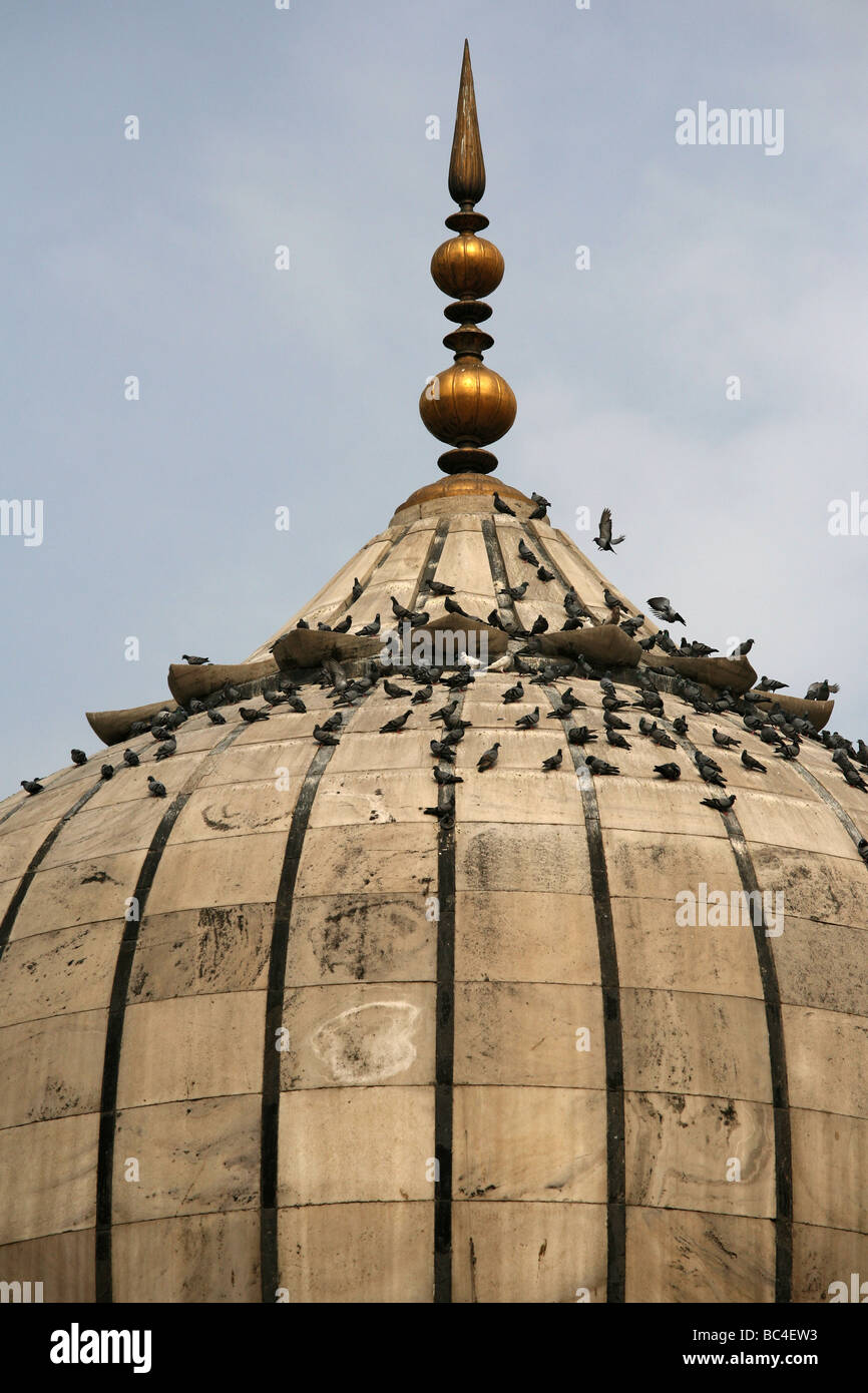 La coupole principale de la mosquée Jama Masjid à New Delhi la plus grande mosquée de l'Inde Banque D'Images