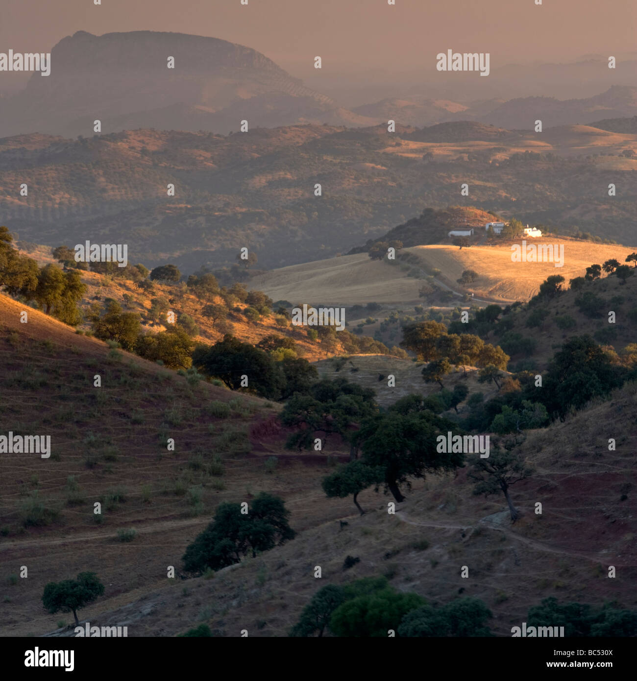 L'aube sur le paysage à El Gastor à l'ouest vers la Sierra Lijar dans la province de Cadix, Andalousie, Espagne Banque D'Images