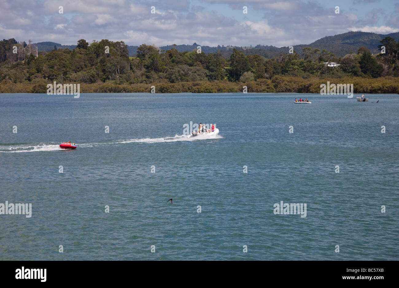Les enfants en canot tiré par bateau à moteur - Whananaki Estuaire, Northland, North Island, New Zealand Banque D'Images