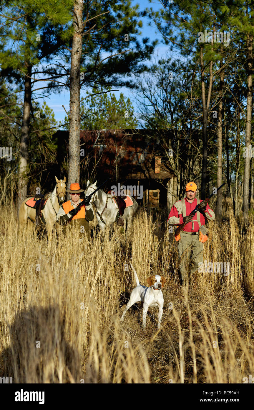 Colins chasseurs avec Pointer Anglais sur le point de la Géorgie de Piney Woods Banque D'Images