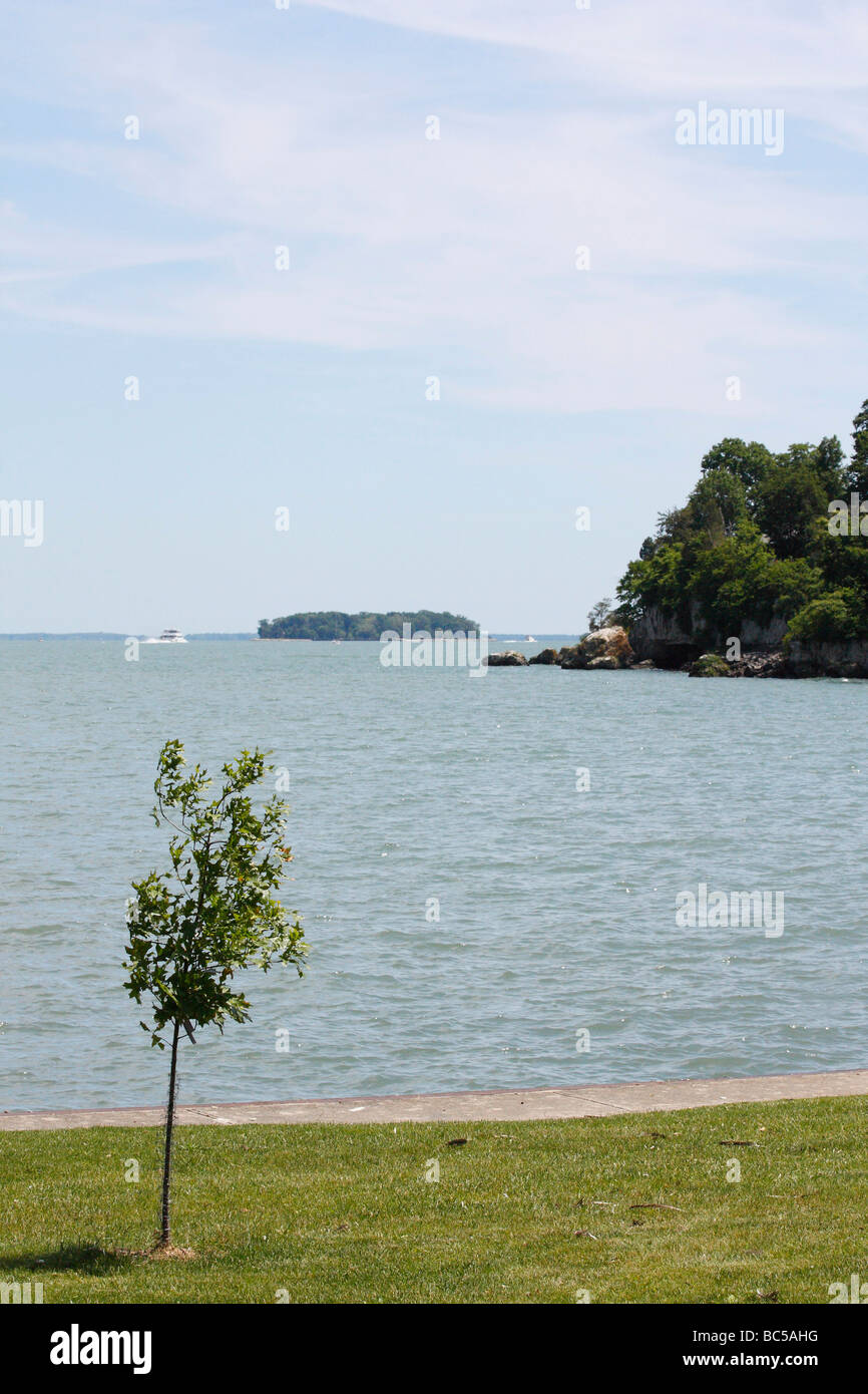 Lake Erie Island mis dans Bay Ohio USA US Great Lakes Waterscape avec un seul arbre sur le rivage d'au-dessus de la vue de dessus personne verticale haute résolution Banque D'Images