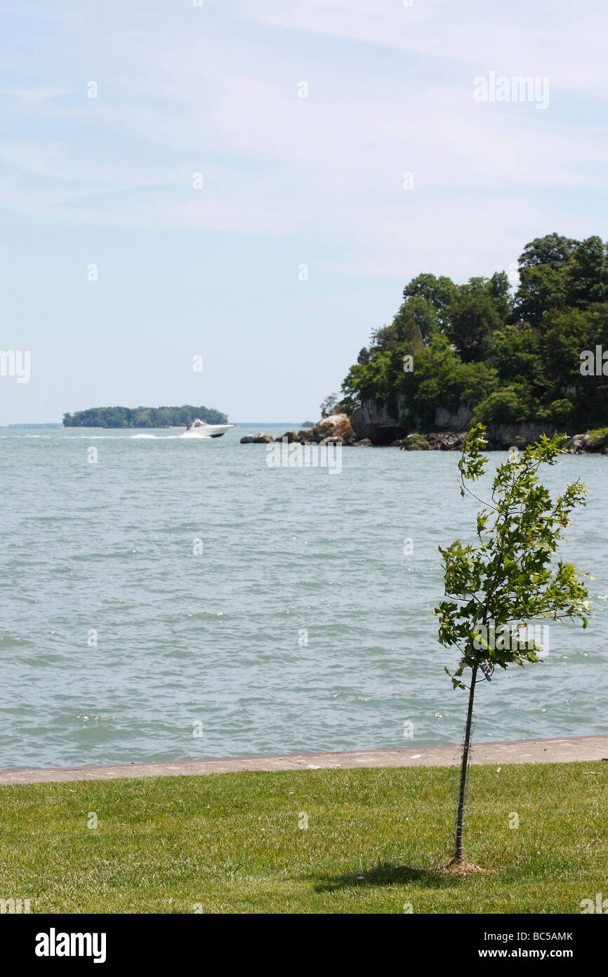Lake Erie Island mis dans Bay Ohio USA US Great Lakes Waterscape avec un seul arbre sur le rivage d'au-dessus de la vue de dessus personne verticale haute résolution Banque D'Images