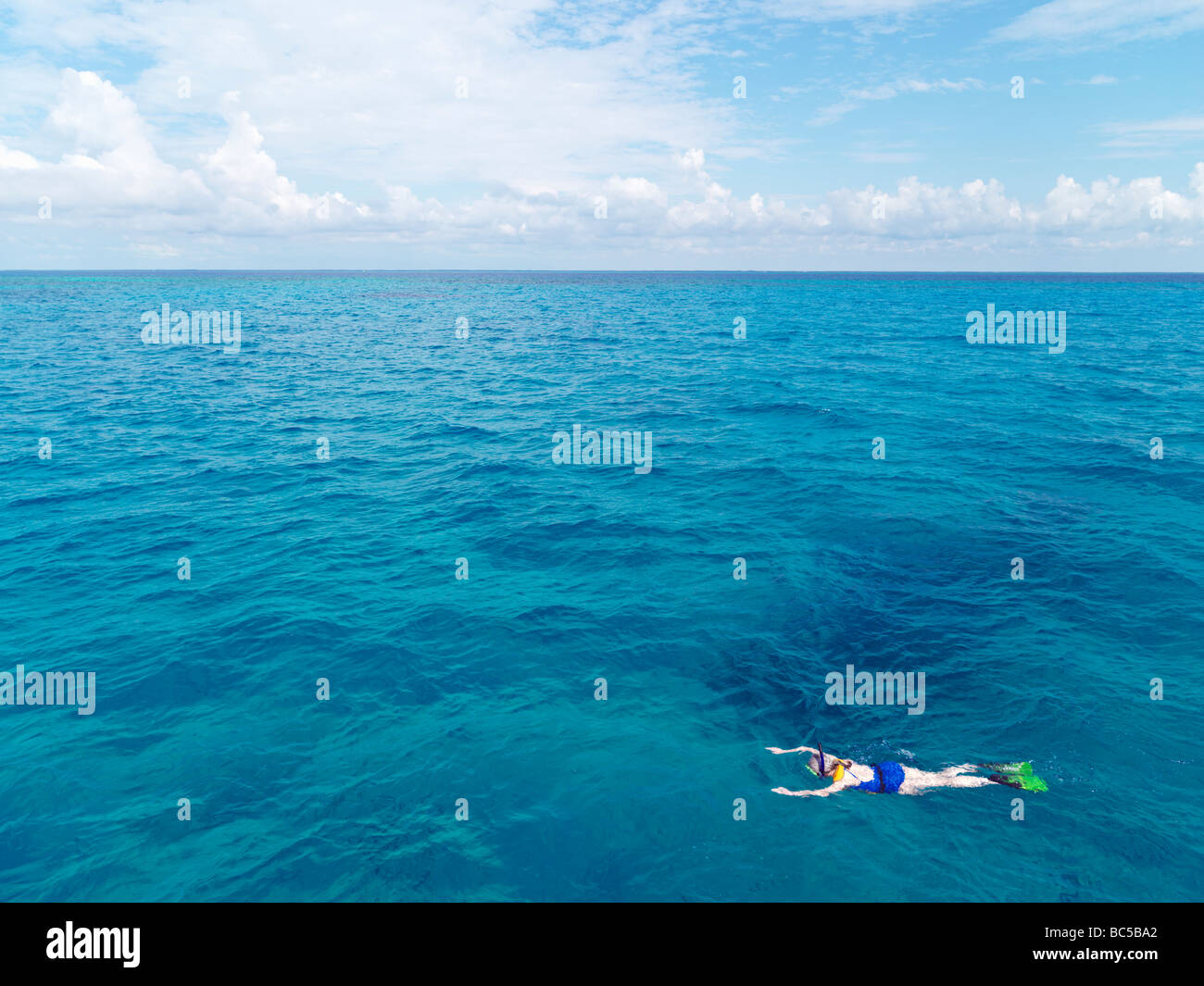 USA,Floride,Florida Keys,femme snorkeler dans un vaste paysage marin Banque D'Images