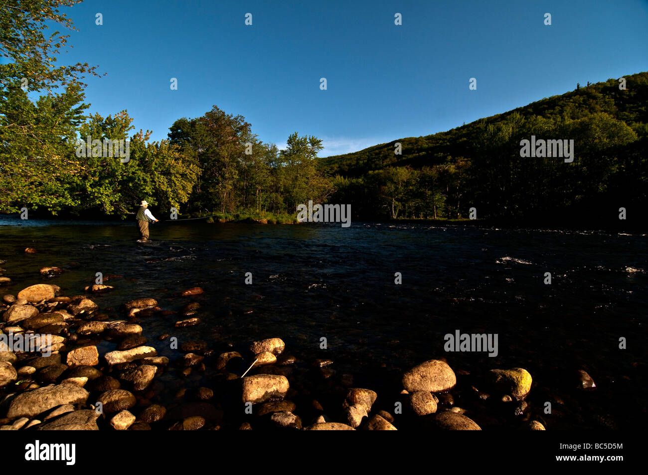 66 ans homme à la retraite dans le Nord de l'NH, pêche sur la rivière Androscoggin. Banque D'Images