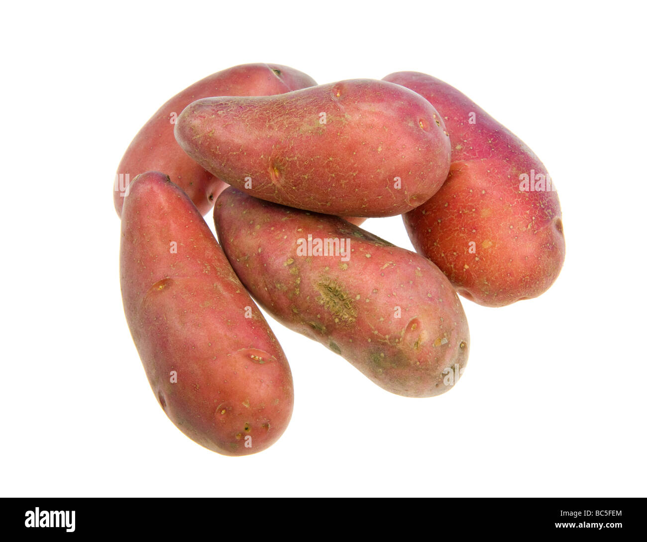 Français de pommes de terre rouge nouveau genre de pommes de terre de france culture curieux alimentaire culturev cultiver cultiver couleur producteur cut out object mo Banque D'Images