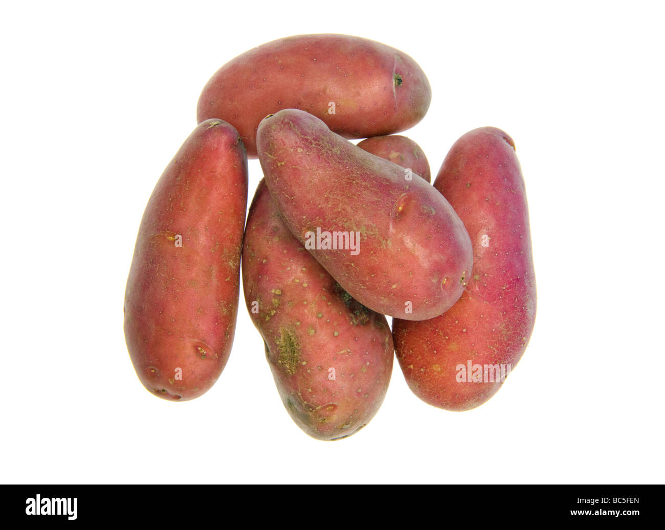 Français de pommes de terre rouge nouveau genre de pommes de terre de france culture curieux alimentaire culturev cultiver cultiver couleur producteur cut out object mo Banque D'Images