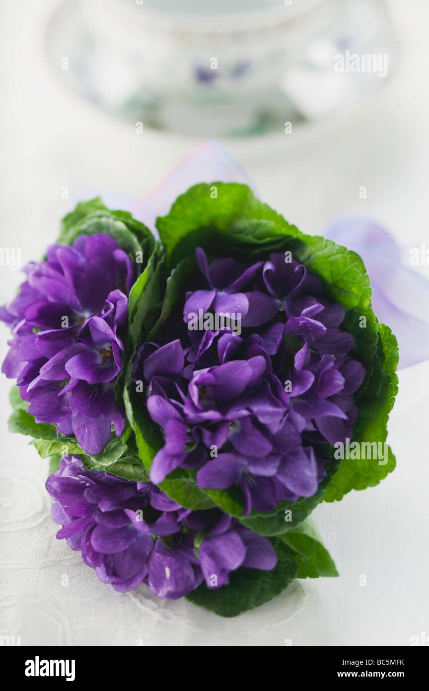 Bouquet de violettes Photo Stock - Alamy