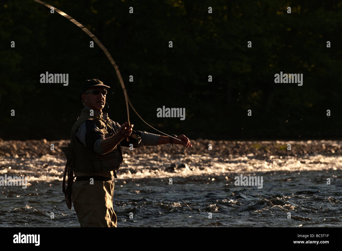 Pêcheur de mouche de patauger dans un ruisseau au printemps. Banque D'Images