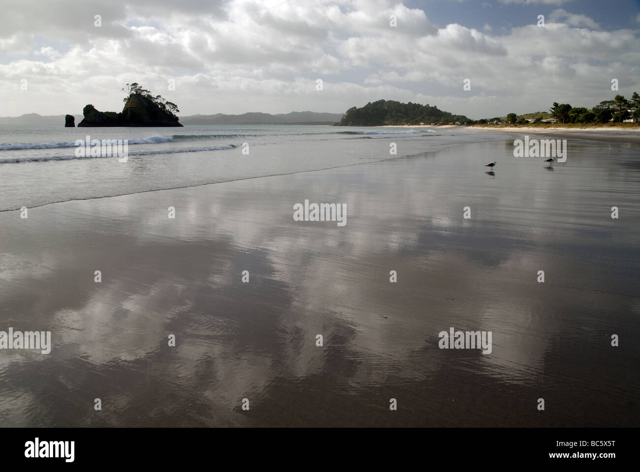 Cathedral Cove, le Coromandel, Nouvelle-Zélande Banque D'Images