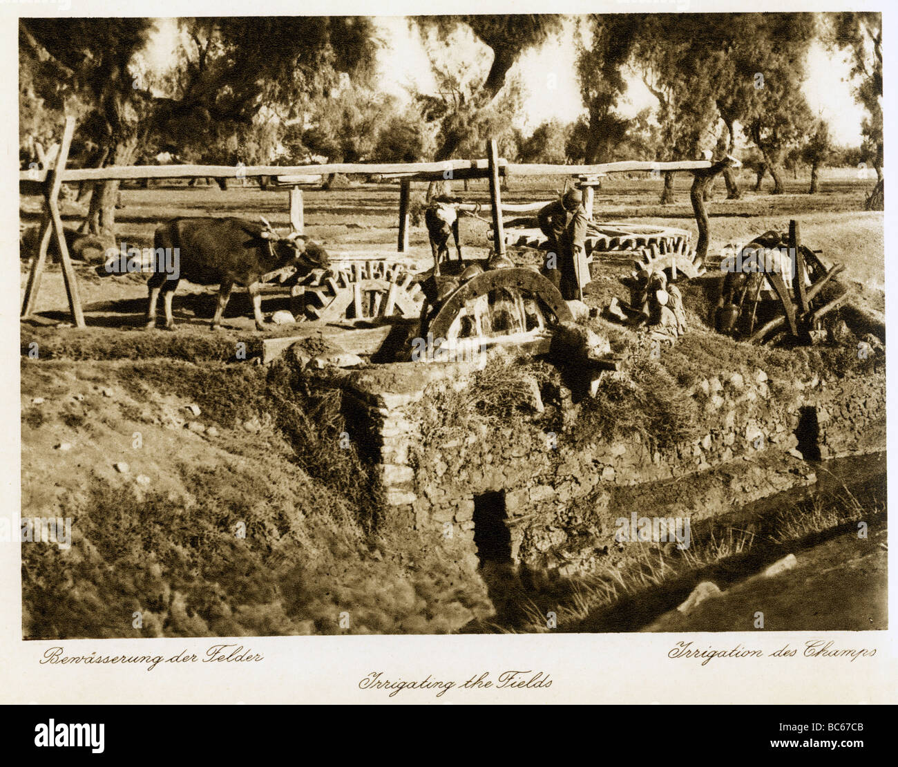 Géographie / voyages, Egypte, agriculture, irrigation d'un champ, 1930, , Banque D'Images