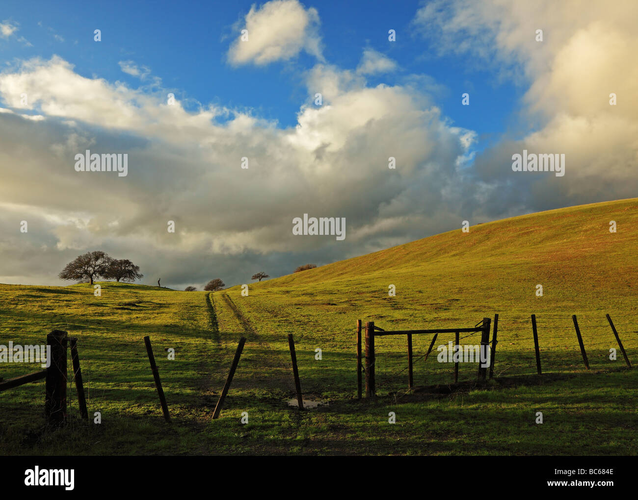 Chemin de ferme Banque D'Images