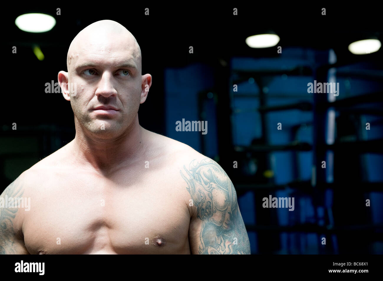 Portrait d'un combattant de l'UFC Banque D'Images