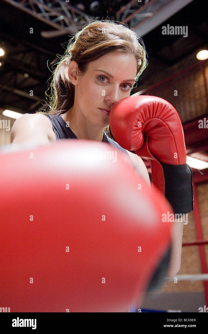 Un portrait d'un boxer. Banque D'Images