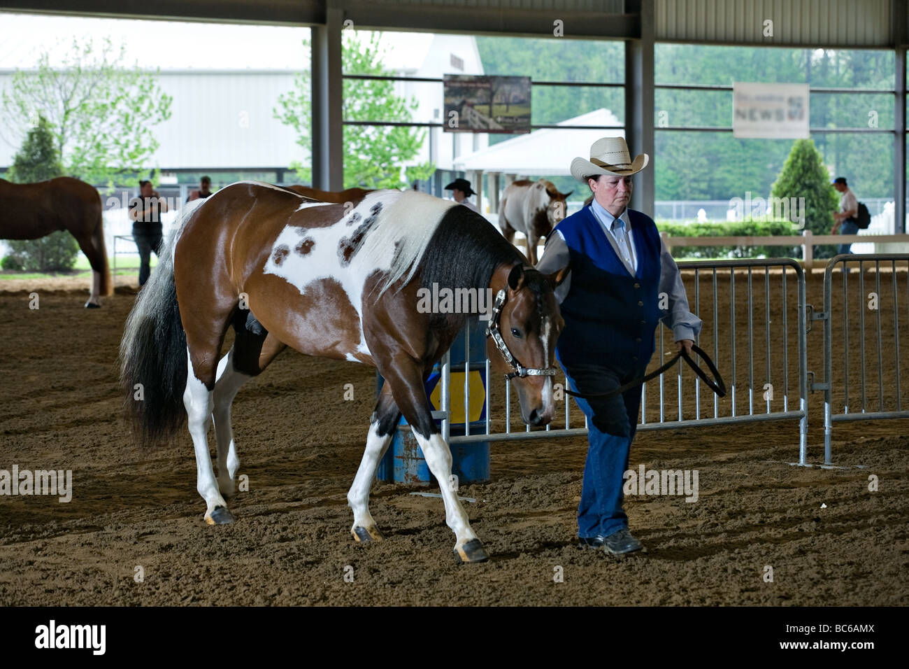 Paint horse propriétaire et entrer dans l'arène au cours d'une ligne de sonde la concurrence. Banque D'Images