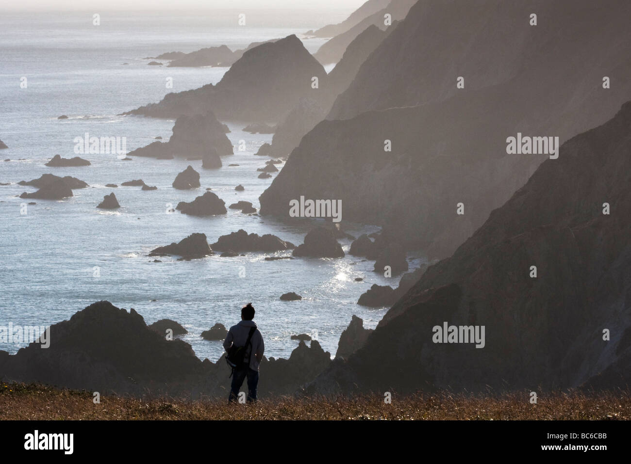 Randonneur en face de Chimney Rock, Point Reyes National Seashore, California, USA Banque D'Images