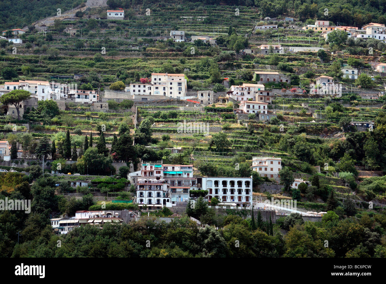 Avis de vignobles en terrasses de Ravello Italie Banque D'Images