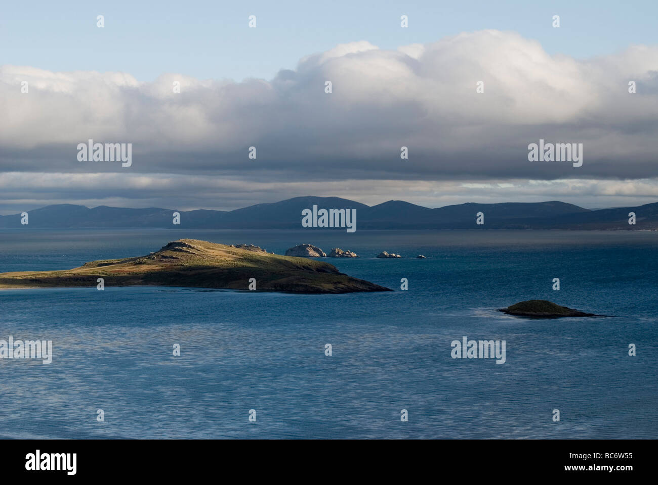 Vue côtière de l'île de la carcasse, des îles Malouines Banque D'Images