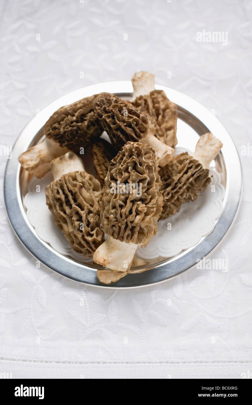 Plusieurs d'argent - morilles sur Banque D'Images