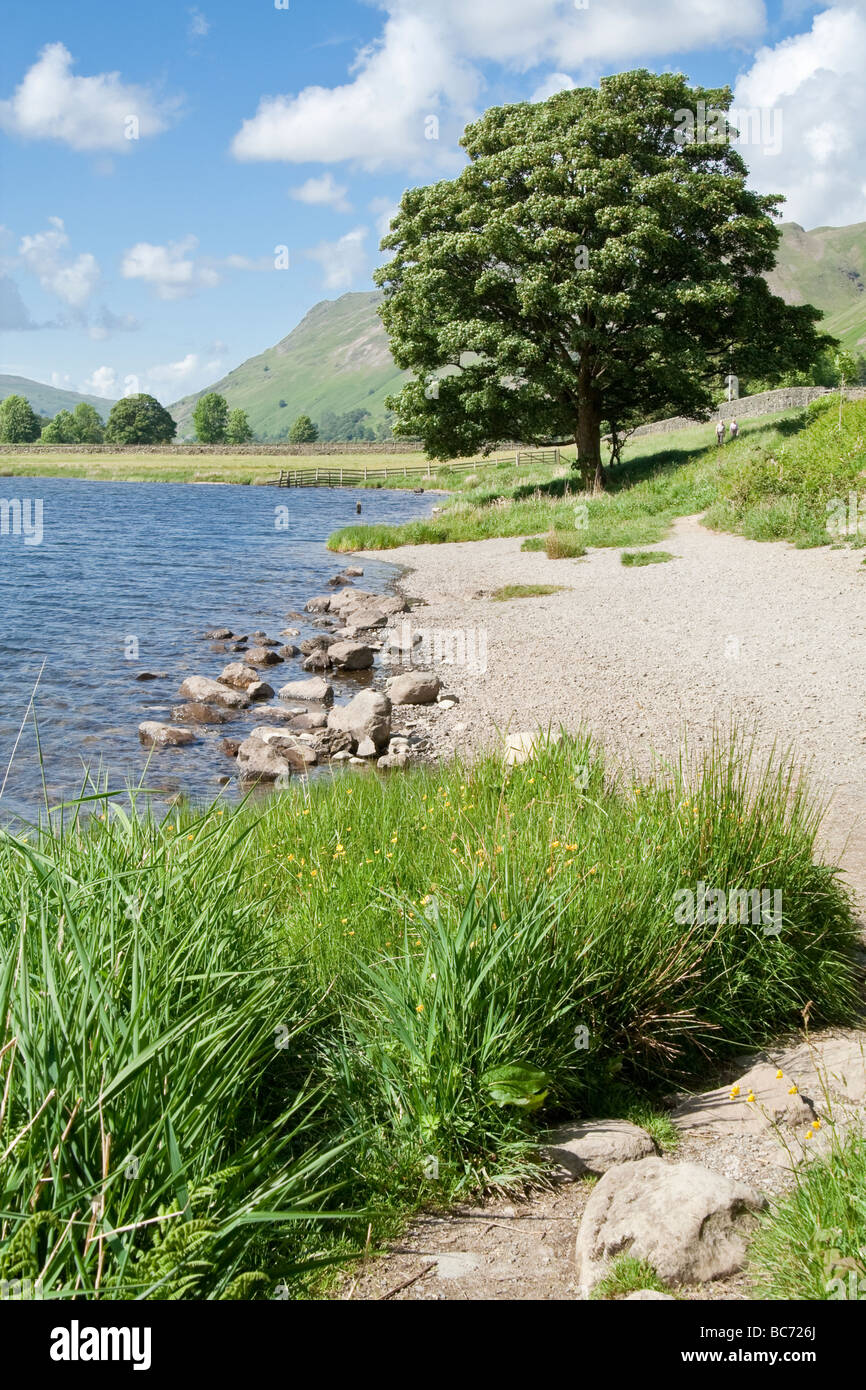 Brotherswater, Lake District, Cumbria, Royaume-Uni. Banque D'Images