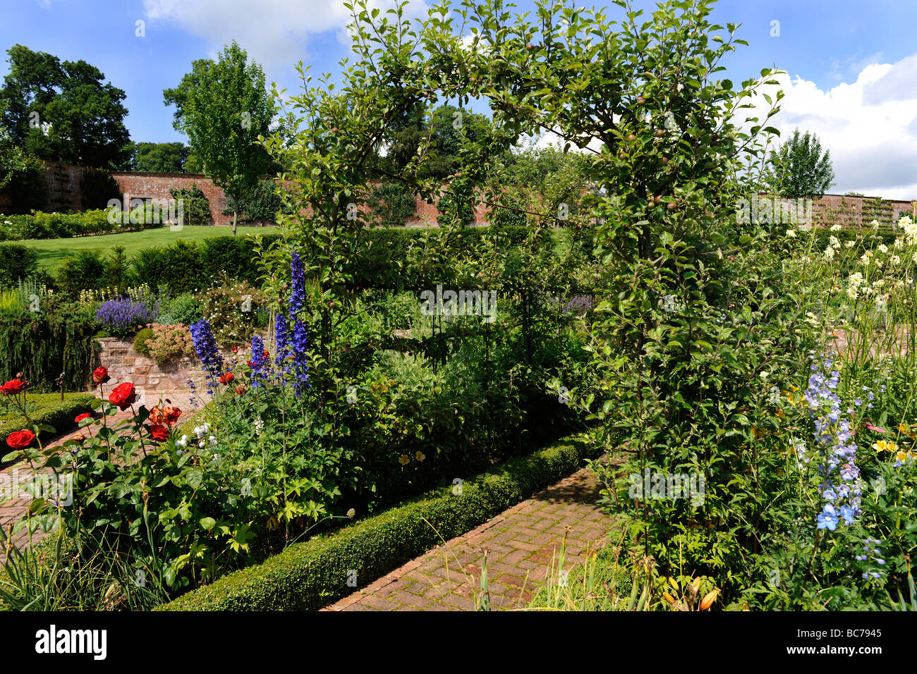 Dans le jardin paysager anglais Cour Holcombe, Devon, UK Banque D'Images