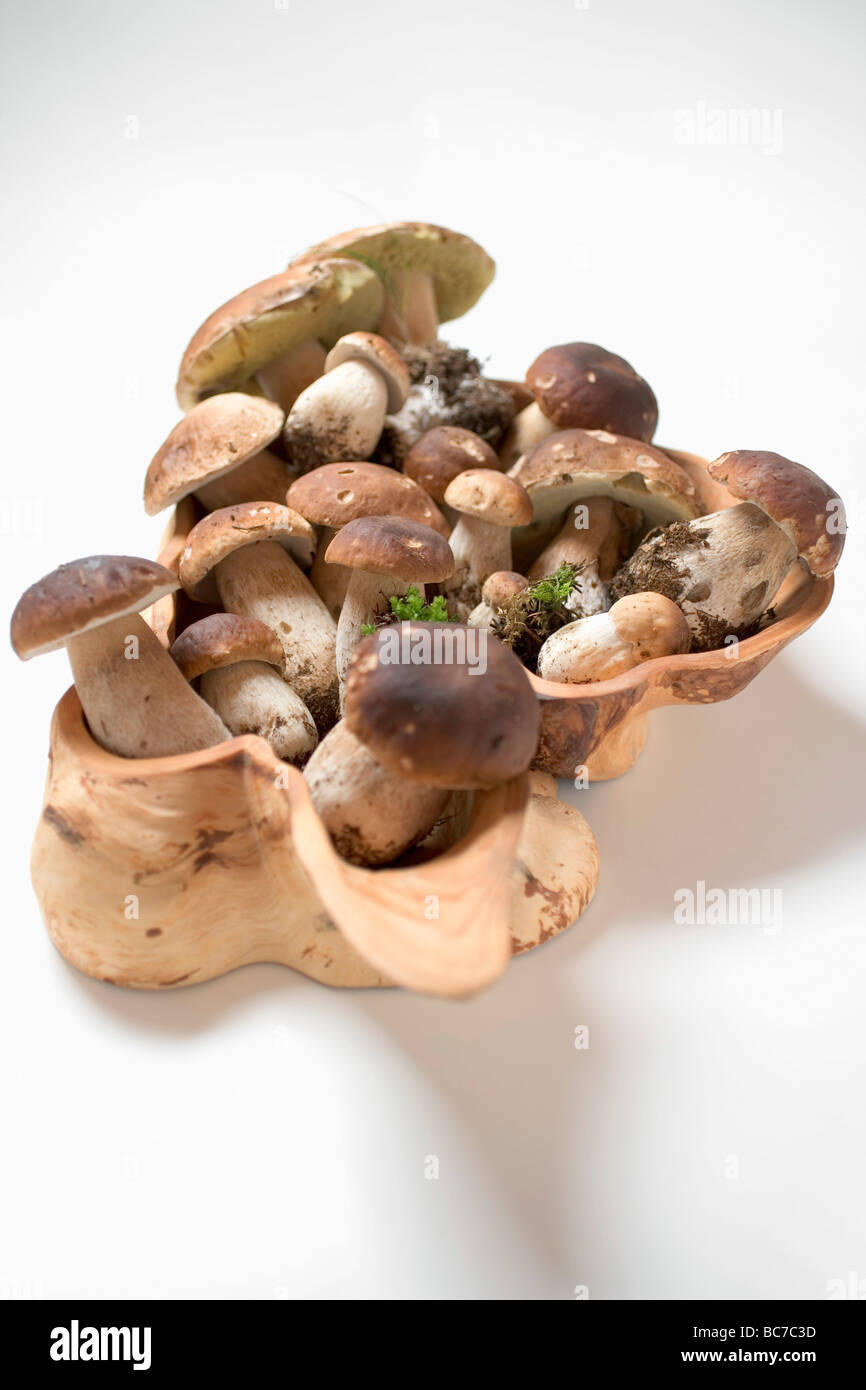 Ceps en bois sculpté - bol Banque D'Images