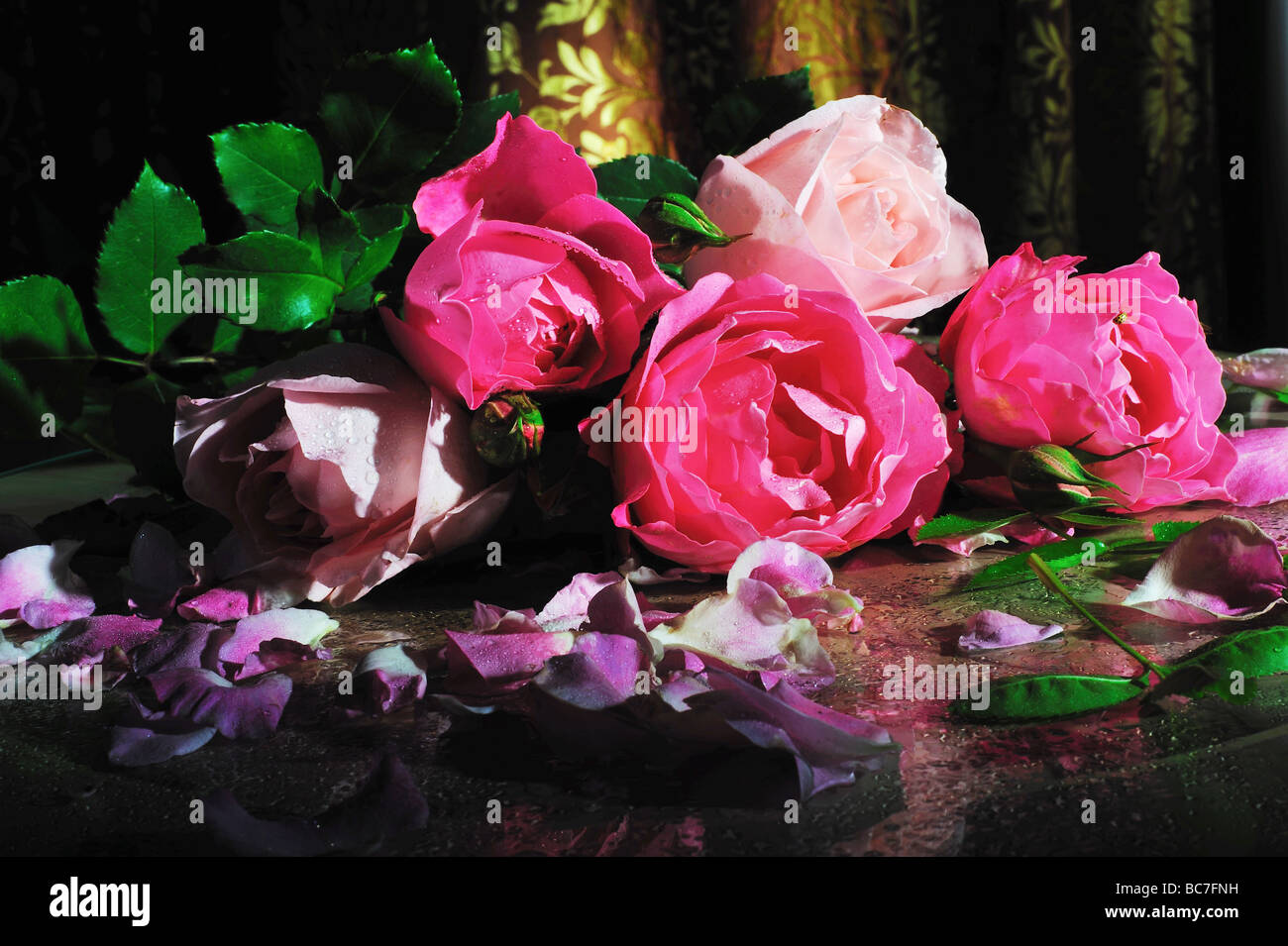 Roses, Stil Life, décoration, art, design naturel, bouquet frais, maison, style de vie, Banque D'Images