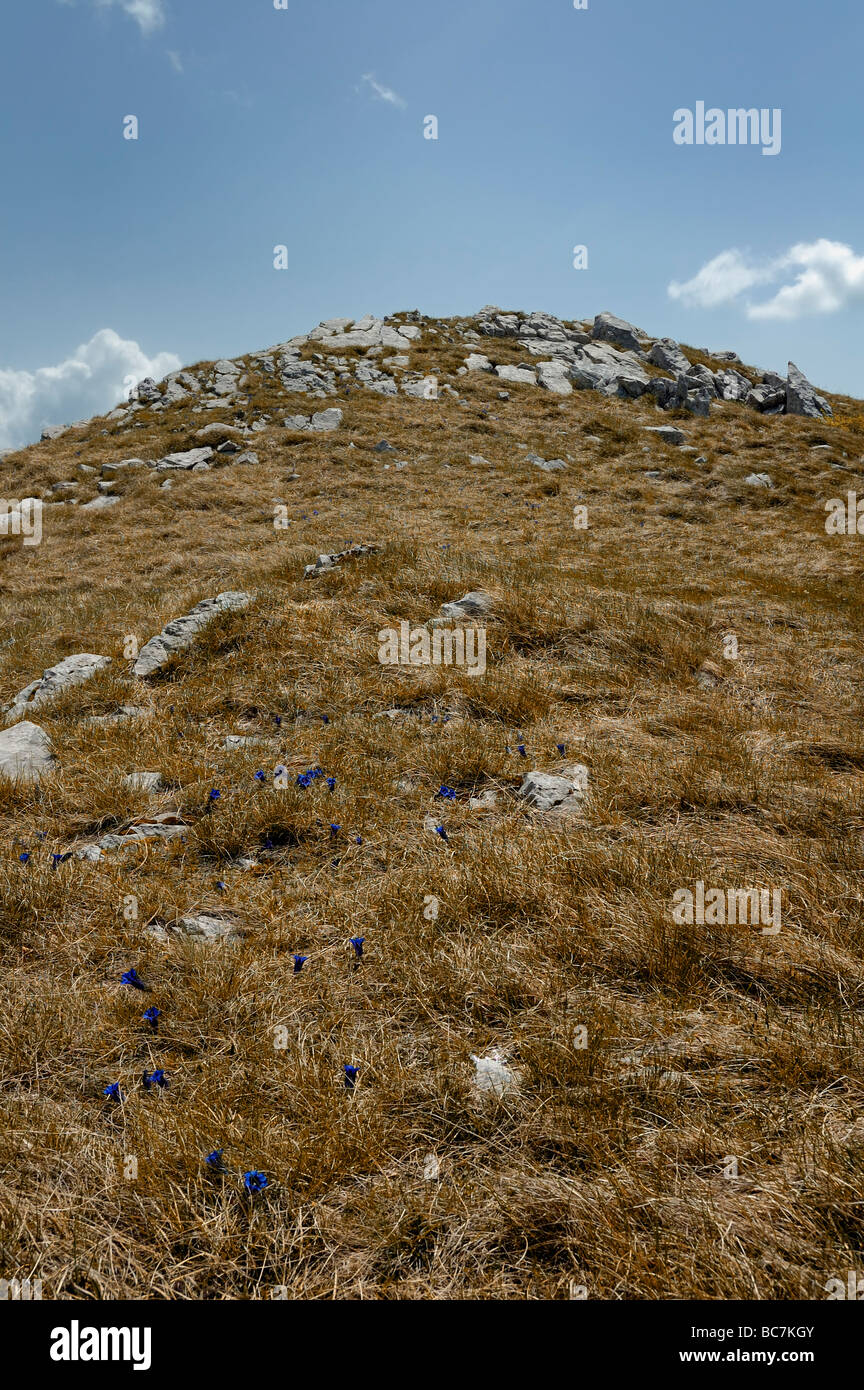 Haut de la colline herbeuse et des nuages sur le ciel bleu Banque D'Images