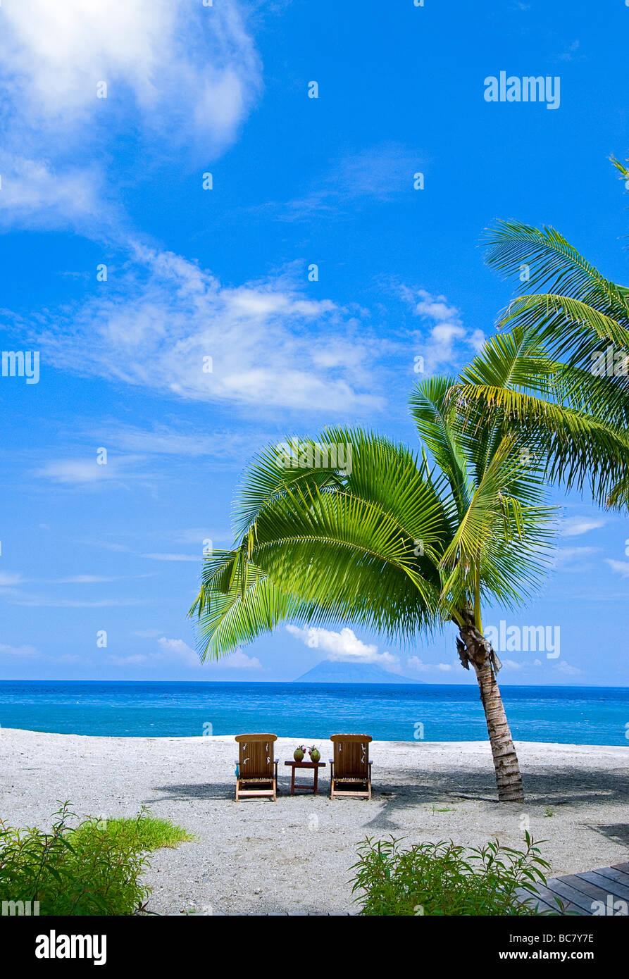 Deux chaises longues sur la plage sous un palmier dans un resort Tropical, Indonésie Banque D'Images