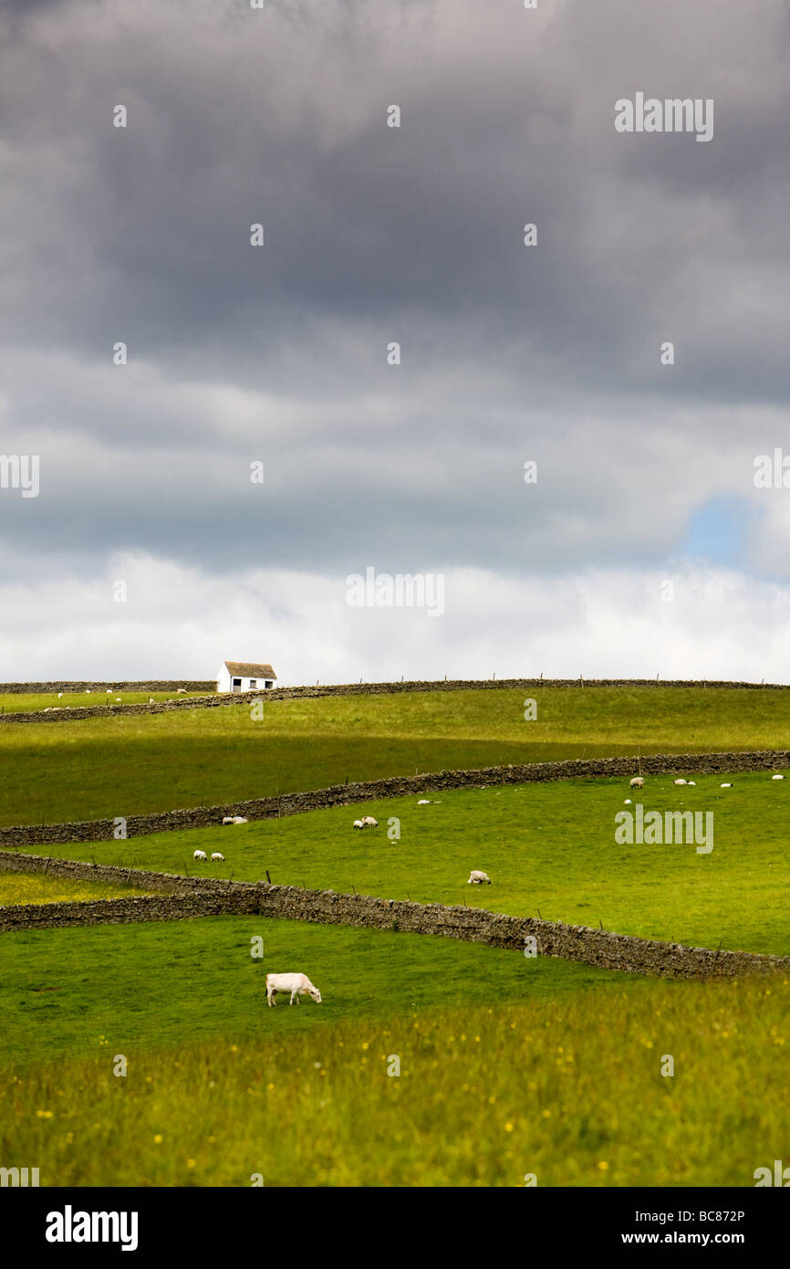 Domaine des granges et Prairie à Bowlees Angleterre Teesdale Banque D'Images