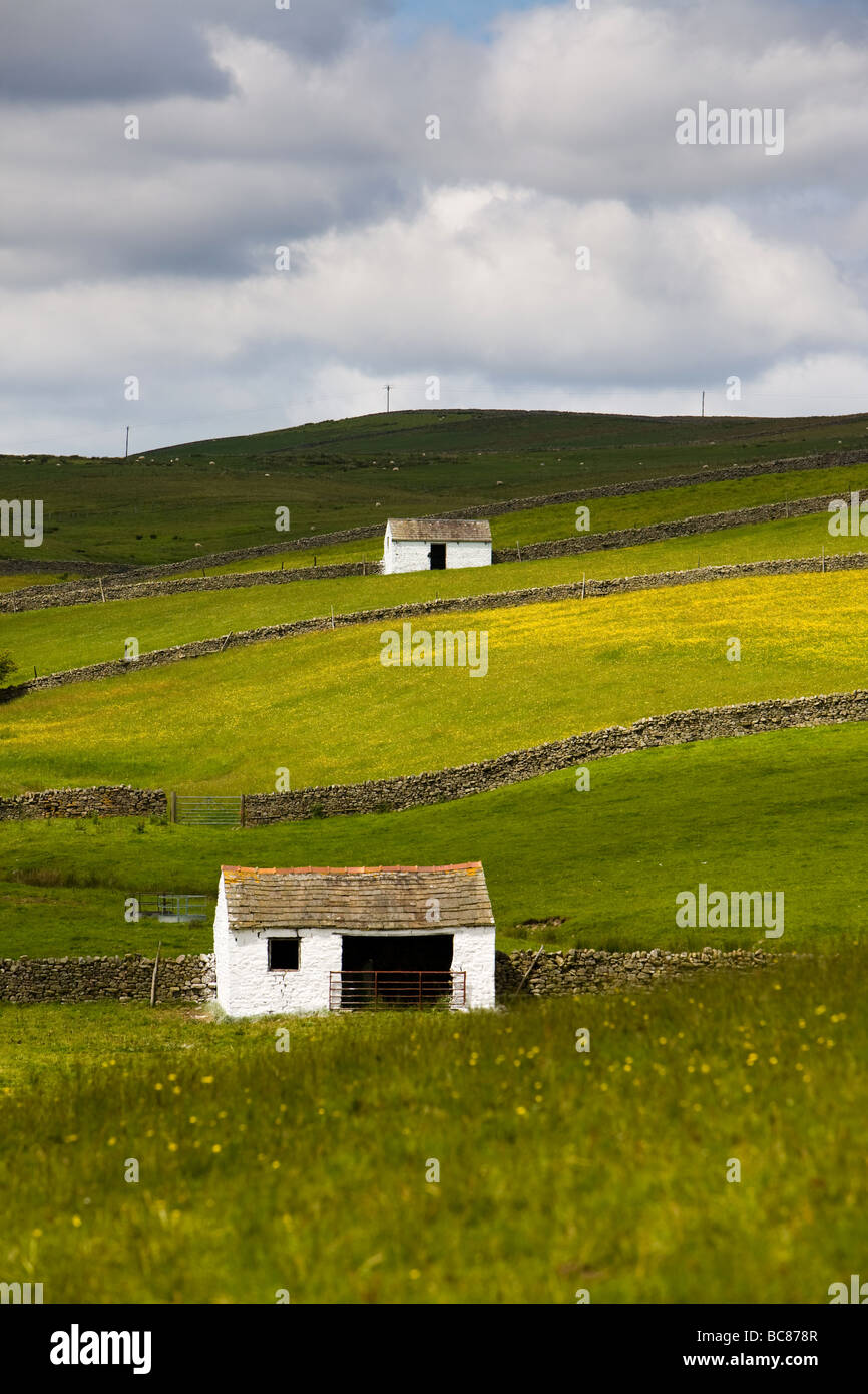 Domaine des granges et Prairie à Bowlees Angleterre Teesdale Banque D'Images