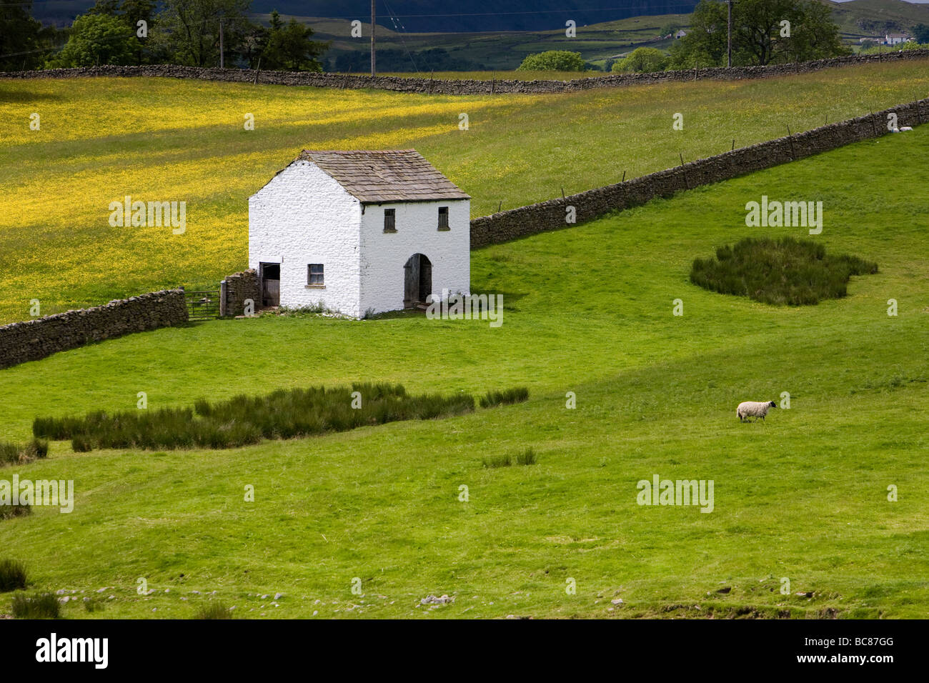 Domaine des granges et Prairie à Bowlees Angleterre Teesdale Banque D'Images