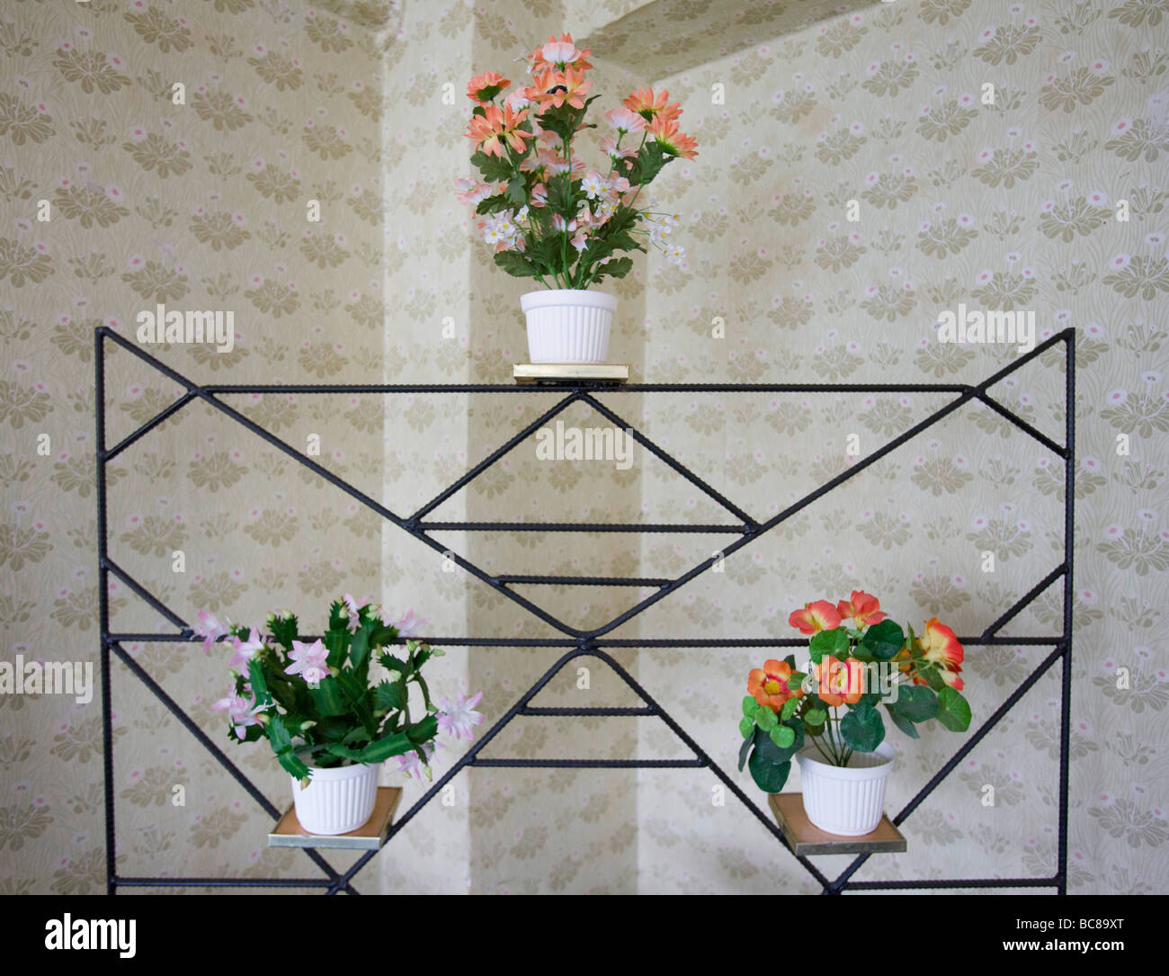 Des fleurs en plastique dans un Prora musée Banque D'Images