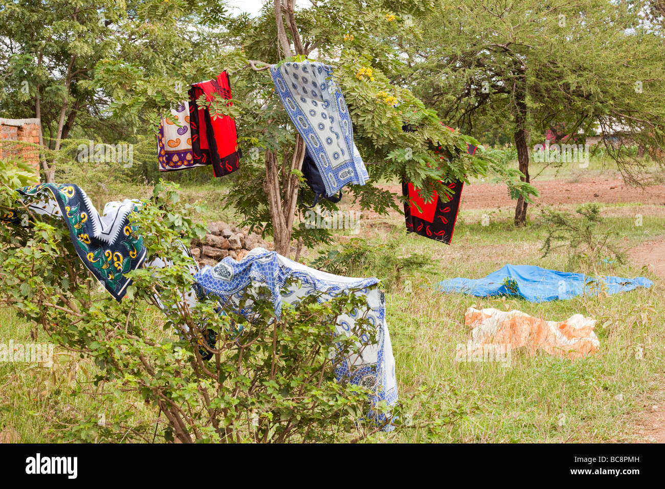 Blanchisserie le séchage sur les buissons. Kikwe District Arumeru Village Arusha Tanzania Banque D'Images