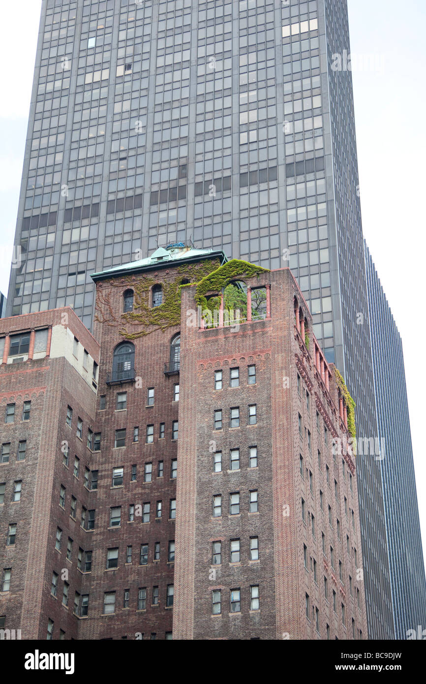 Petit jardin sur un toit dans NYC Banque D'Images