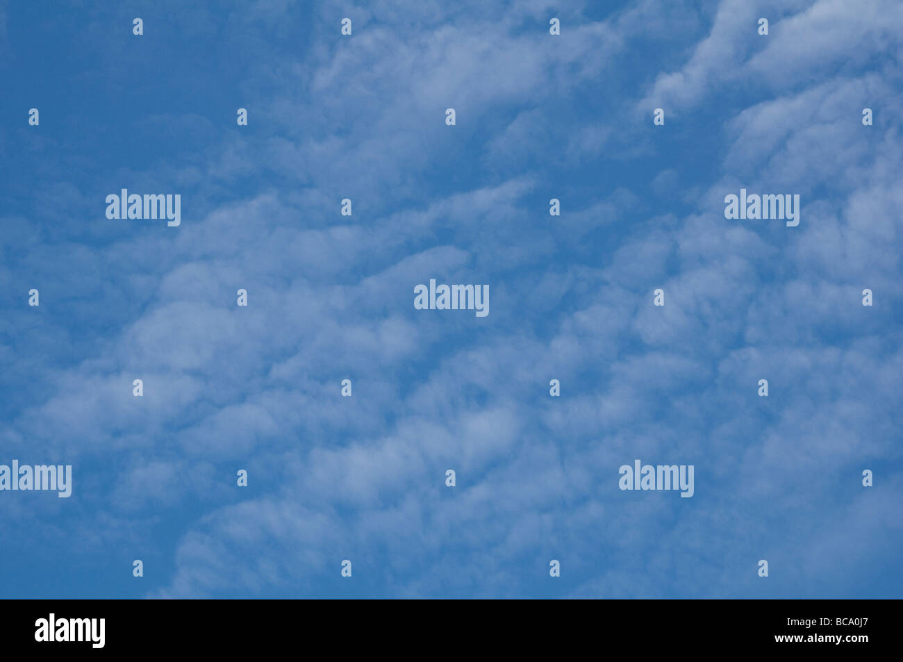 La laine de coton moelleux délicat nuages contre un ciel bleu. Banque D'Images