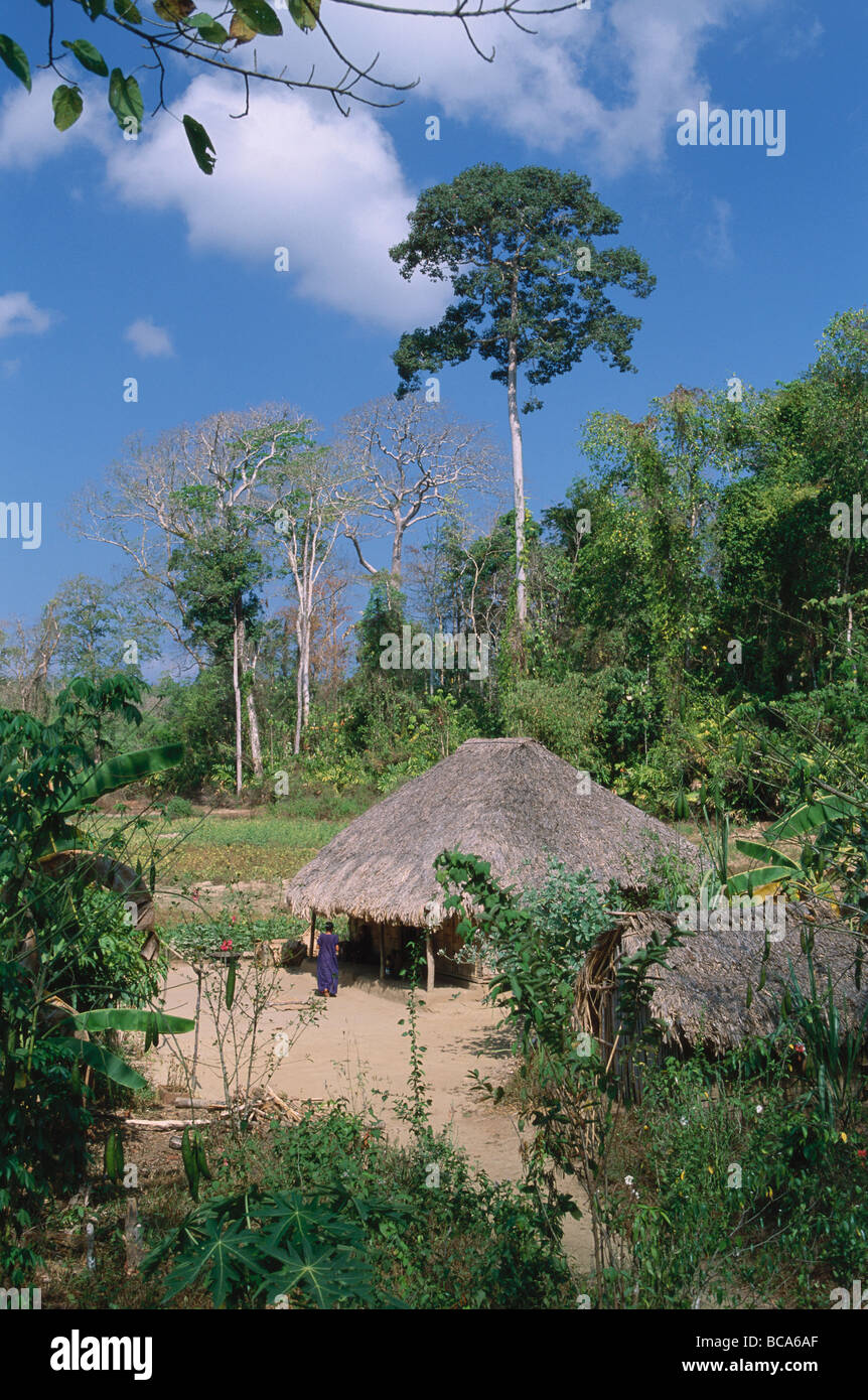 Une maison au milieu d'une forêt tropicale, les îles Andaman, en Inde du Nord Banque D'Images