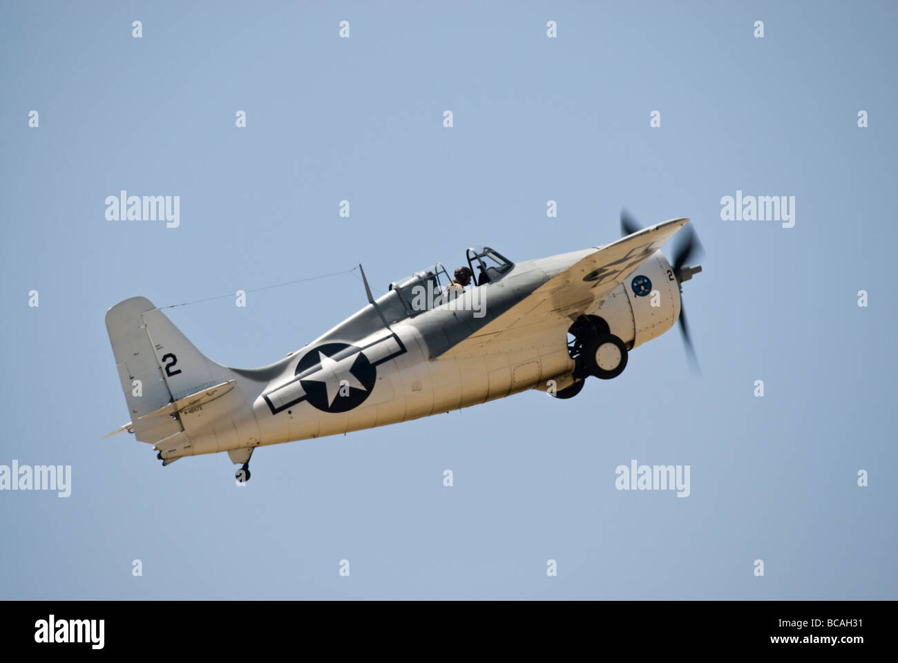 Un Grumman F4F Wildcat après qu'il a levé hors de la piste dans le cadre d'un salon.(gear partiellement rétracté) Banque D'Images