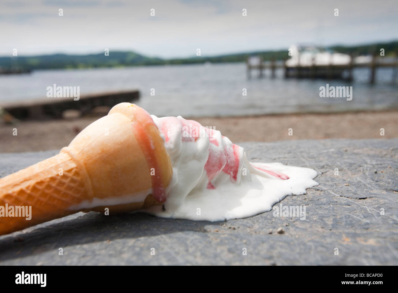 Une Glace Fondre Sur Les Rives Du Lac Windermere Cumbria Uk Pendant Une Vague De Chaleur D Ete Photo Stock Alamy