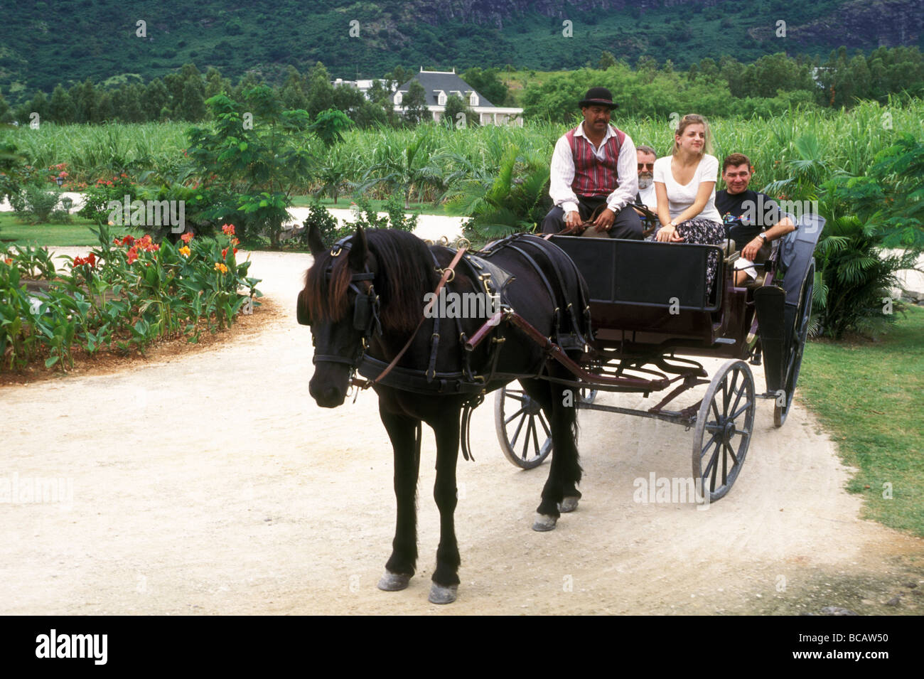 Domaine les pailles mauritius Banque de photographies et d'images à haute  résolution - Alamy