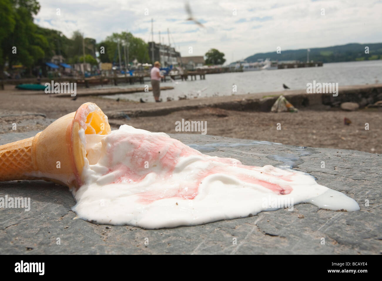 Une Glace Fondre Sur Les Rives Du Lac Windermere Cumbria Uk Pendant Une Vague De Chaleur D Ete Photo Stock Alamy