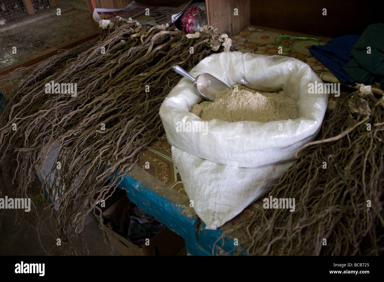 Les deux formes de kava en poudre, et la racine de matières premières est en vente dans un marché dans la ville de Krakow sur Viti Levu à Fidji Banque D'Images