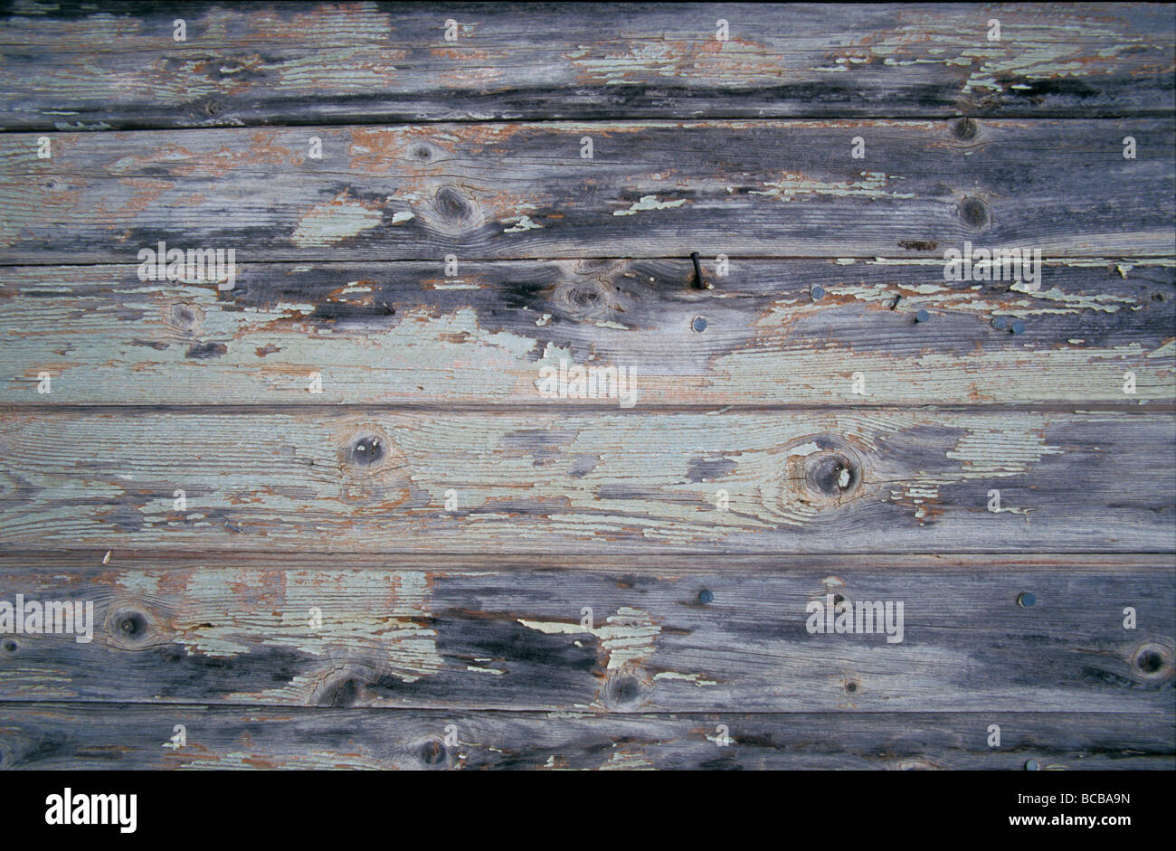 La peinture écaillée sur les planches d'une vieille maison de campagne. Banque D'Images